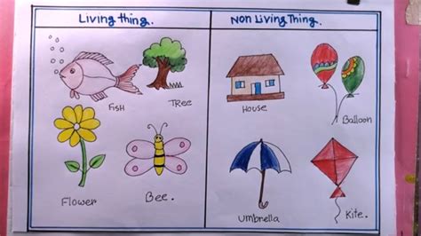 How To Draw Living Things And Non Living things /Living.